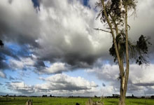 上海男篮迎来与四川的交锋，争夺东部头名