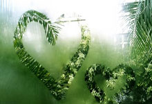 小牛力克灰熊，保持胜利势头