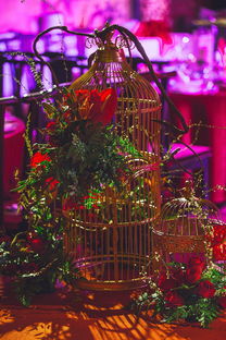 pa真人百家乐-中国体坛年度颁奖典礼群星闪耀，中国体坛风云人物典礼颁奖词  第2张